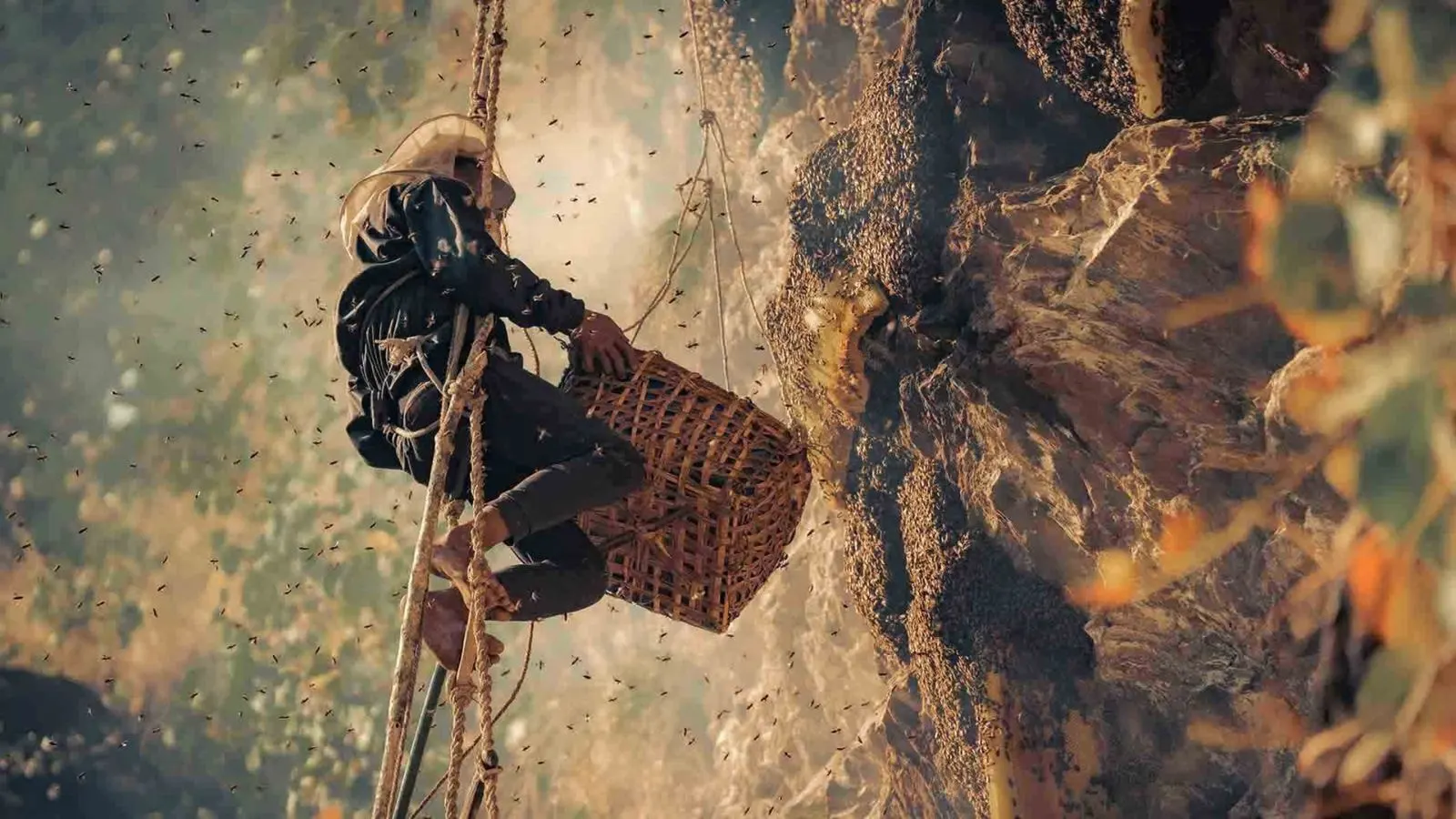 A honey hunter on a rope ladder harvesting cliff honey